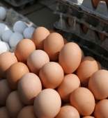 Yumurtanın 1 ədədi 1 MANAT – Yanvar ayına HAZIRLAŞIN