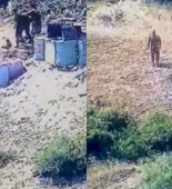 Ermənistan ordusu ilə bağlı şok görüntülər yayıldı - VİDEO