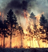 Kanadada meşə yanğınları nəticəsində 26 000 nəfər təxliyə edilib