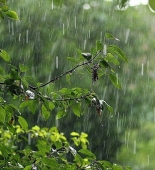 Bir neçə əraziyə leysan xarakterli yağış yağıb - FAKTİKİ HAVA