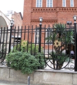 Gürcüstan hakimiyyəti yəhudi sinaqoqlarına ayrılan vəsaiti artırıb
