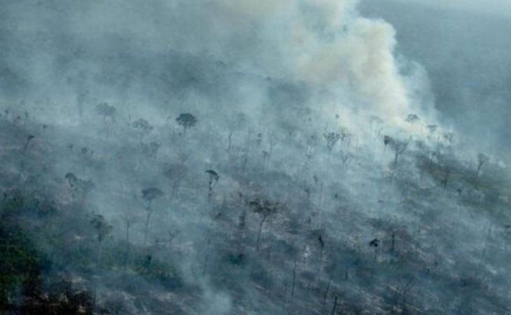 “Greenpeace”: Amazonda meşələrin qırılması nəzarətsiz olaraq qalır